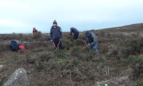 Volunteers clearing vegetation at Sperris Settlement
