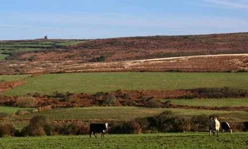 Penwith landscape near Newbridge