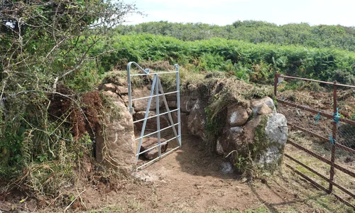 New gate at Mulfra Vran Settlement