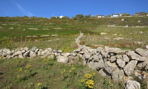 Cornish Hedge at Sennen
