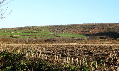 Farmland near Zennor